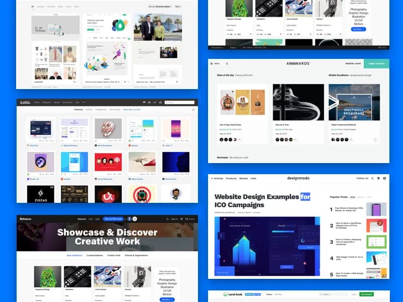 UI/UX Design